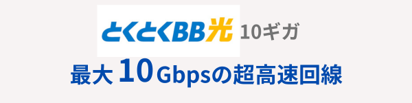 とくとくBB光10ギガ