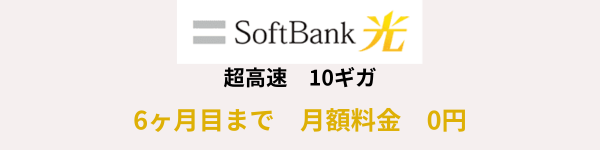 ソフトバンク光10ギガ