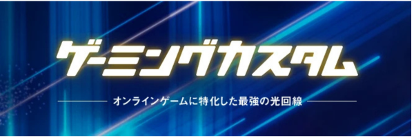 コミュファ光ゲーミングカスタム