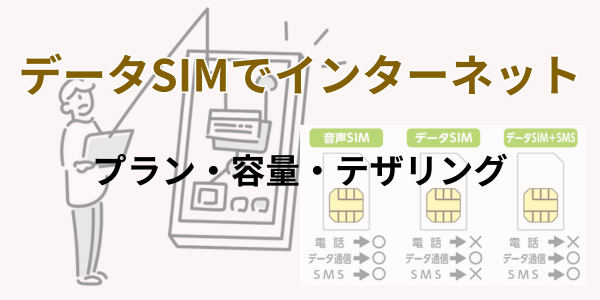 データSIM
